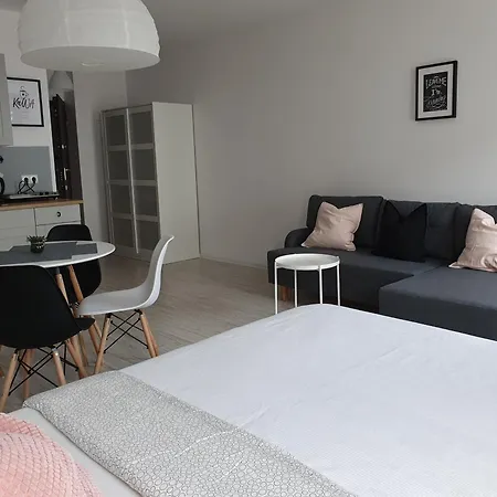 Mewa 30 Władysławowo