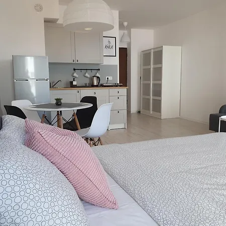 Mewa 30 * Władysławowo